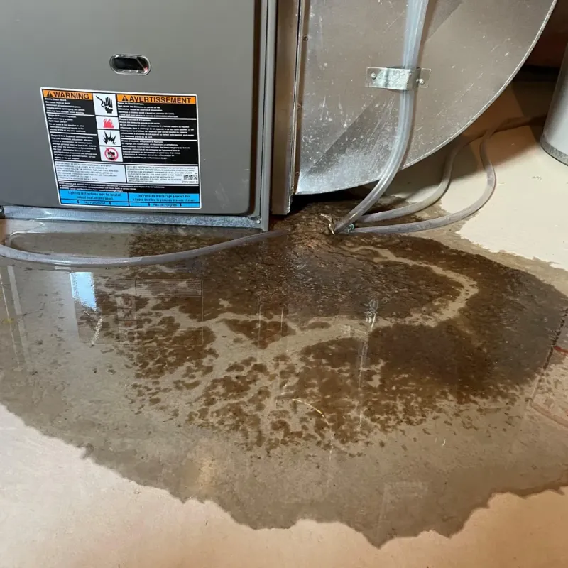 Appliance Leak Cleanup in Gamewell, NC